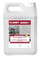 Tugevatoimeline graffiti eemaldusaine FLOWEY BT10 GRAFTEC 2 5L